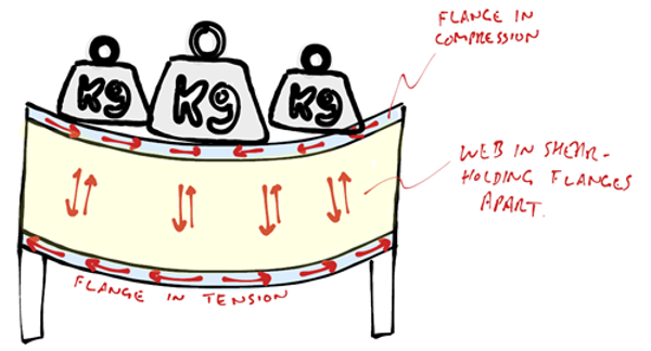 TR-Blog-Updated2.png