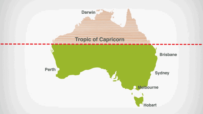 Timber-Treatment-Topic-of-Capricorn.png